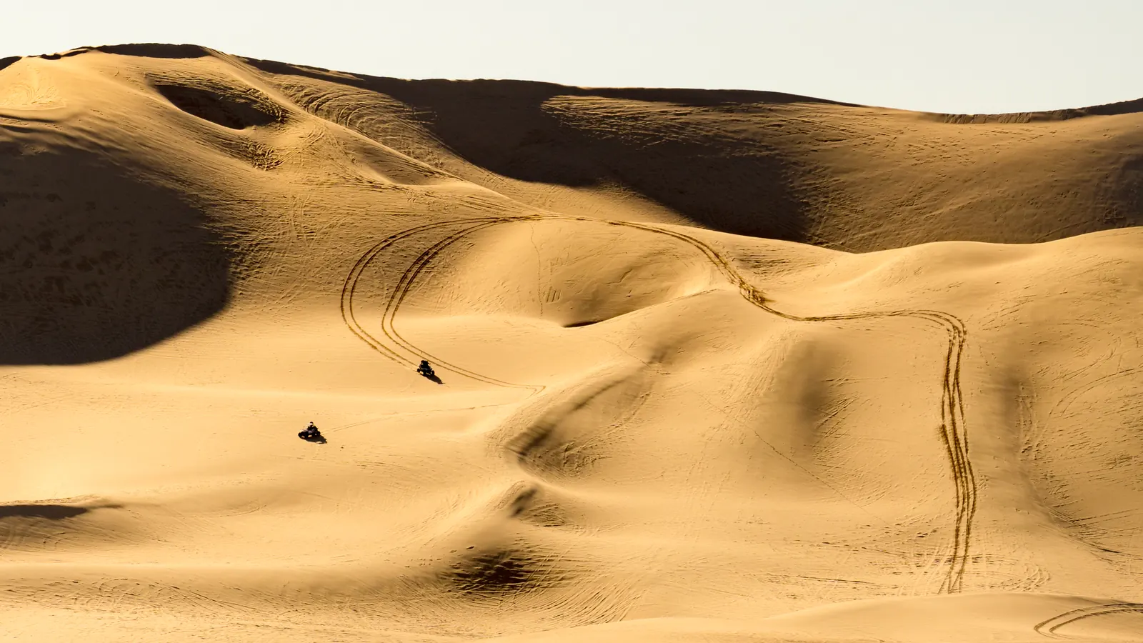 Wind-carved bowls and ride tracks across the Dumont Dunes in the Mojave Desert